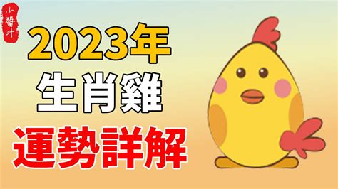 1969屬雞2023幸運色|2023年12生肖運勢大全——生肖雞